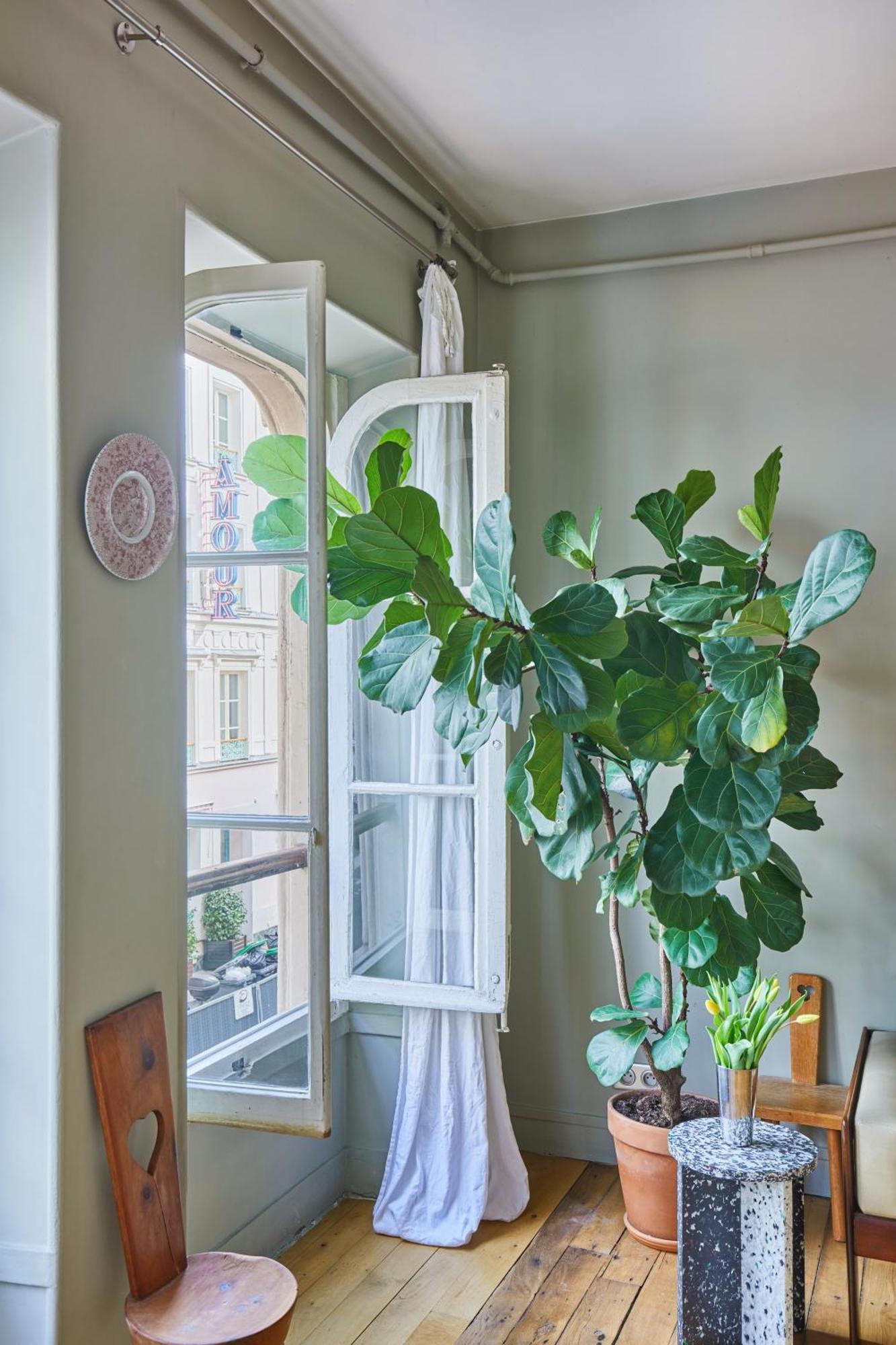 Charming 1br Rue Des Martyrs * Parigi